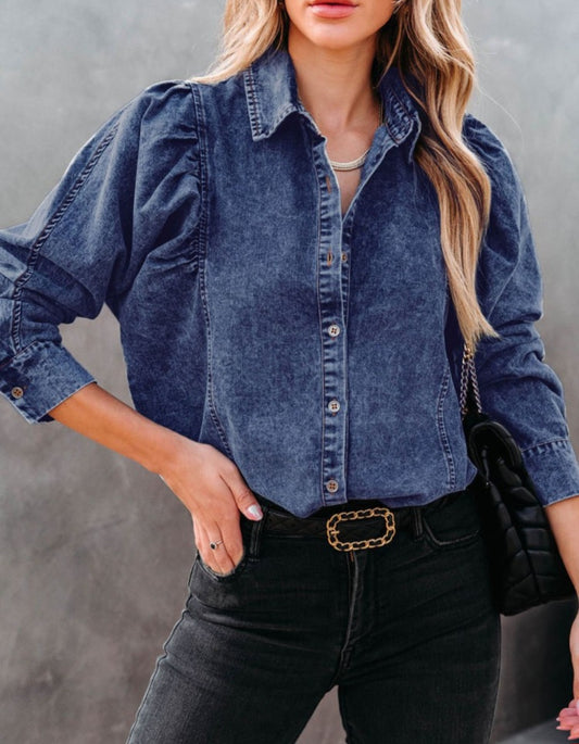 Pleated Sleeve Denim Top Blue